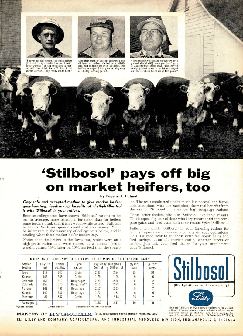 <p>Publicité américaine de 1958 faisant la promotion du Stilbosol comme supplément alimentaire chez les génisses.</p>