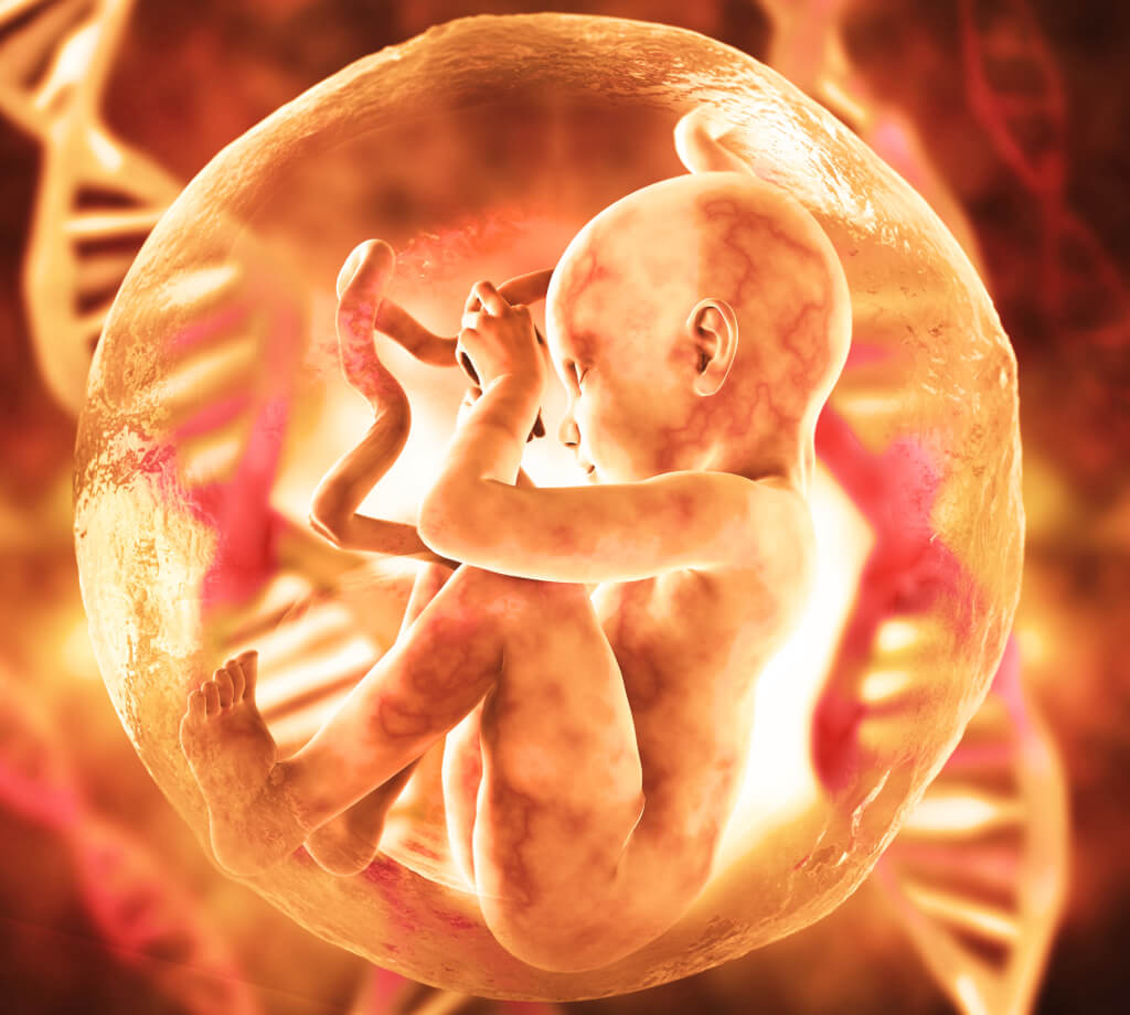 human fetus and dna medical concept graphic and scientific background, Non-steroidal estrogens, such as DES, are teratogenic